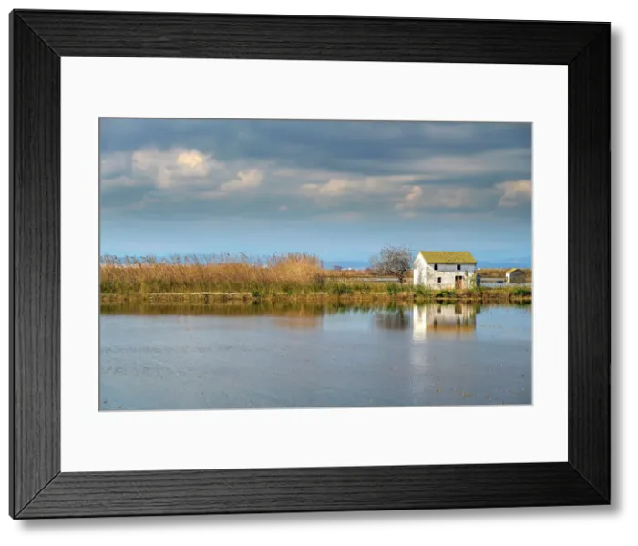 Framed Print : Scenic view of Albufera Natural Park, Valencia, Spain Framed Print : Scenic view of Albufera Natural Park, Valencia, Spain