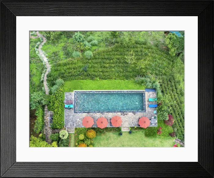 Framed Print : Asia, Sri Lanka, Nuwara Eliya; aerial view of swimming pool and tea bushes at a tea estate hotel Framed Print : Asia, Sri Lanka, Nuwara Eliya; aerial view of swimming pool and tea bushes at a tea estate hotel