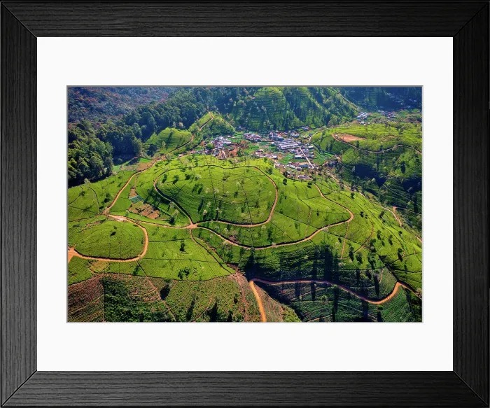 Framed Print : Aerial view of Ella Tea Garden, Nuwara Eliya, Sri Lanka Framed Print : Aerial view of Ella Tea Garden, Nuwara Eliya, Sri Lanka