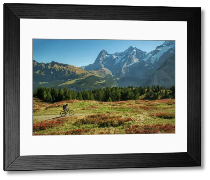 Framed Print : Switzerland, Berne, Oberland, Murren, Eiger and bike Framed Print : Switzerland, Berne, Oberland, Murren, Eiger and bike