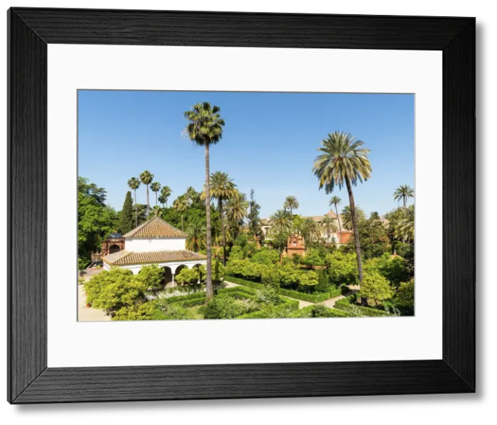 Framed Print : The gardens of the Real Alcazar de Sevilla (The Alcazar of Seville or Royal Palace of Seville), Seville, Andalusia, Spain Framed Print : The gardens of the Real Alcazar de Sevilla (The Alcazar of Seville or Royal Palace of Seville), Seville, Andalusia, Spain