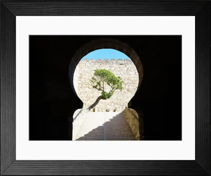 Framed Print : Horseshoe shape arch framing the tree at the entrance gate of Castillo de Trujillo (Trujillo Castle), Extremadura, Caceres, Spain Framed Print : Horseshoe shape arch framing the tree at the entrance gate of Castillo de Trujillo (Trujillo Castle), Extremadura, Caceres, Spain