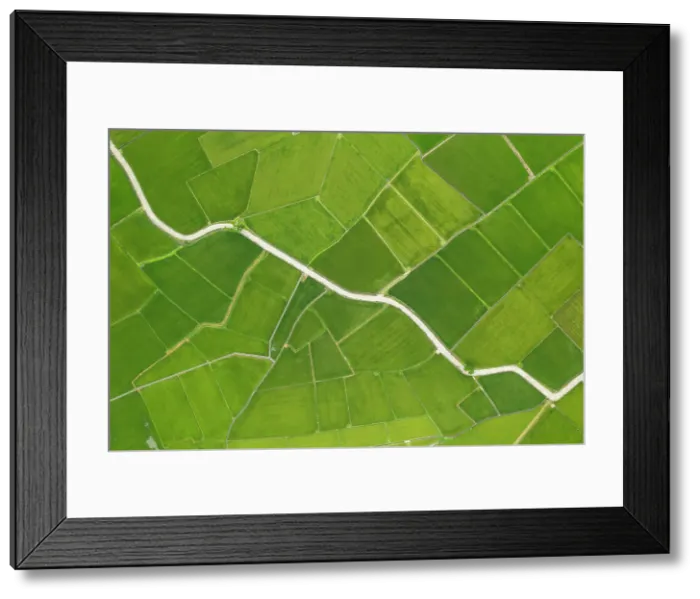 Framed Print : Chishang Rice Fields, Taiwan Framed Print : Chishang Rice Fields, Taiwan