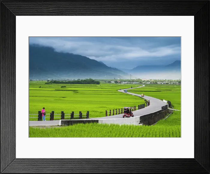 Framed Print : Chishang Rice Fields, Taiwan Framed Print : Chishang Rice Fields, Taiwan