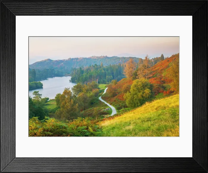 Framed Print : UK, England, Cumbria, Lake District, Lake District National Park, Tarn Hows Framed Print : UK, England, Cumbria, Lake District, Lake District National Park, Tarn Hows