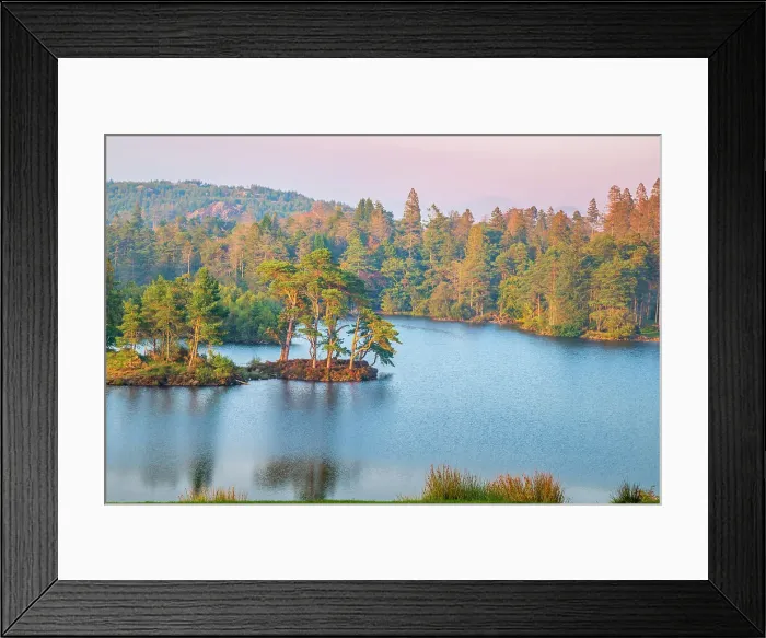 Framed Print : UK, England, Cumbria, Lake District, Lake District National Park, Tarn Hows Framed Print : UK, England, Cumbria, Lake District, Lake District National Park, Tarn Hows