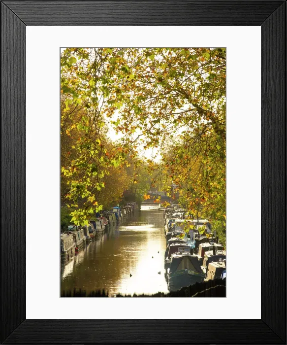 Framed Print : Regent's Canal, Little Venice, Maida Vale, London, England, UK Framed Print : Regent's Canal, Little Venice, Maida Vale, London, England, UK