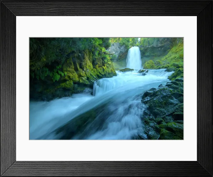 Framed Print : USA, Pacific Northwest, Oregon, Willamette National Forest, McKenzie river, Sahalie Falls