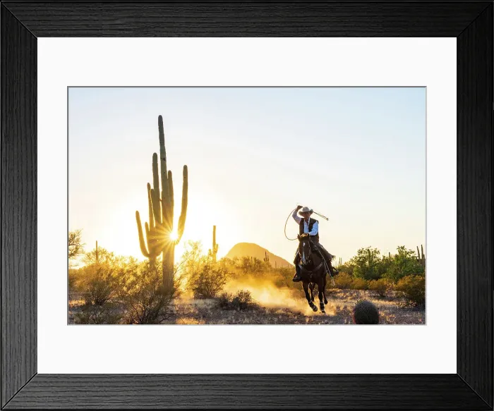 Framed Print : Saguaro National Park, Tuscon, Arizona, USA Framed Print : Saguaro National Park, Tuscon, Arizona, USA