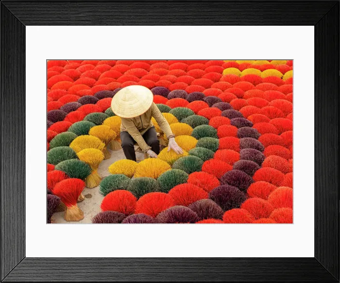 Framed Print : Colourful Incense sticks being dried, Quang Phu Cau village, Hanoi Province, Vietnam Framed Print : Colourful Incense sticks being dried, Quang Phu Cau village, Hanoi Province, Vietnam