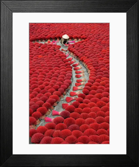 Framed Print : Colourful Incense sticks being dried, Quang Phu Cau village, Hanoi Province, Vietnam Framed Print : Colourful Incense sticks being dried, Quang Phu Cau village, Hanoi Province, Vietnam