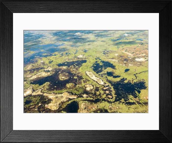 Framed Print : Okavango Delta, Botswana, Africa Framed Print : Okavango Delta, Botswana, Africa