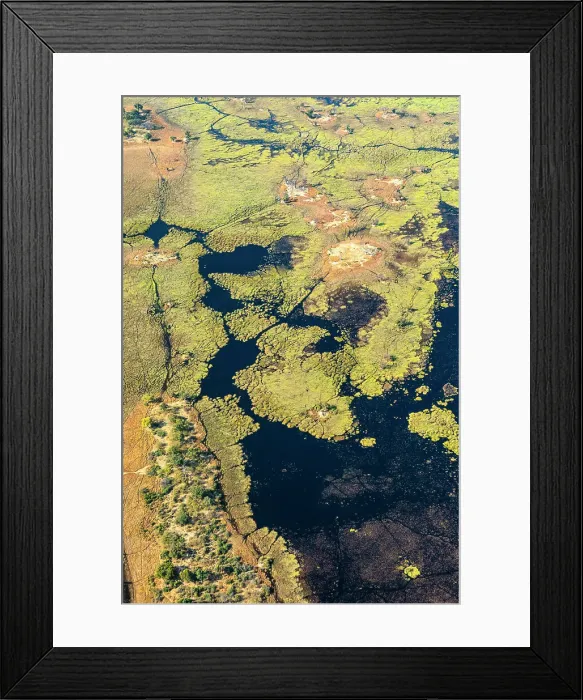 Framed Print : Okavango Delta, Botswana, Africa Framed Print : Okavango Delta, Botswana, Africa