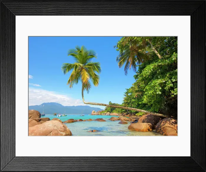 Framed Print : A palm tree on Aventureiro beach, Ilha Grande, Angra dos Reis, Rio de Janeiro, Brazil Framed Print : A palm tree on Aventureiro beach, Ilha Grande, Angra dos Reis, Rio de Janeiro, Brazil