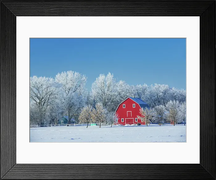 Framed Print : Red barn with rime ice (frost) Grande Pointe, Manitoba, Canada Framed Print : Red barn with rime ice (frost) Grande Pointe, Manitoba, Canada
