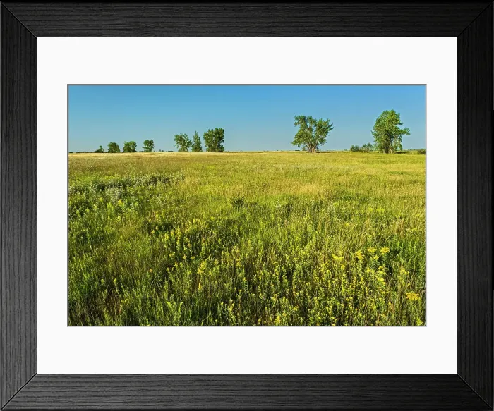 Framed Print : West Souris mixed-grass prairie Broomhill, Manitoba, Canada Framed Print : West Souris mixed-grass prairie Broomhill, Manitoba, Canada
