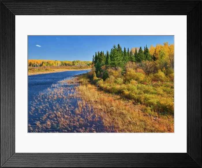Framed Print : Autumn on the Bradbury River north of the Bloodvein First Nation Rice River Road north of the Blo, Manitoba, Canada Framed Print : Autumn on the Bradbury River north of the Bloodvein First Nation Rice River Road north of the Blo, Manitoba, Canada
