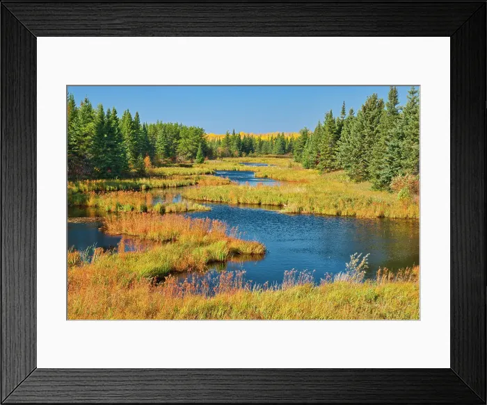 Framed Print : Petopeko Creek in autumn. North of the Bloodvein First Nation on the Rice River Road, Manitoba, Canada Framed Print : Petopeko Creek in autumn. North of the Bloodvein First Nation on the Rice River Road, Manitoba, Canada