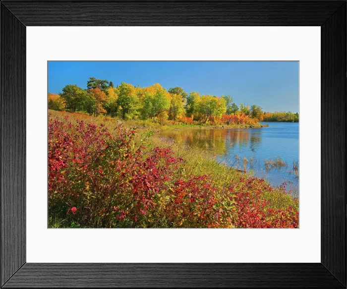 Framed Print : Autumn along the Manigotogan River Manigotogan, Manitoba, Canada Framed Print : Autumn along the Manigotogan River Manigotogan, Manitoba, Canada