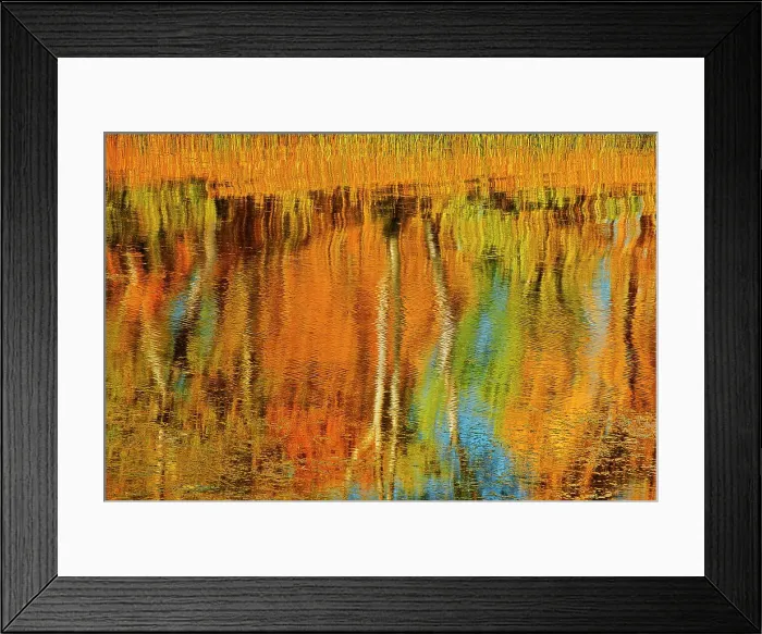 Framed Print : Autumn trees reflected in Lake Winnipeg Seymourville, Manitoba, Canada Framed Print : Autumn trees reflected in Lake Winnipeg Seymourville, Manitoba, Canada