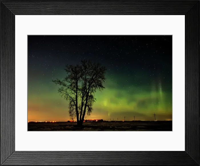 Framed Print : Northern lights (Aurora borealis) and plains cottonwood Dugald, Manitoba, Canada Framed Print : Northern lights (Aurora borealis) and plains cottonwood Dugald, Manitoba, Canada