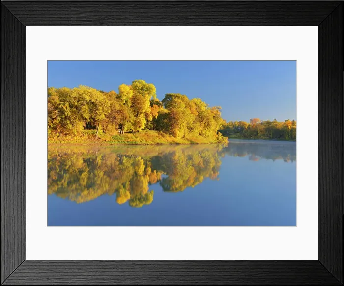 Framed Print : Forest in autumn colors reflected in the Red River at sunrise. St. Vital Park, Winnipeg, Manitoba, Canada Framed Print : Forest in autumn colors reflected in the Red River at sunrise. St. Vital Park, Winnipeg, Manitoba, Canada