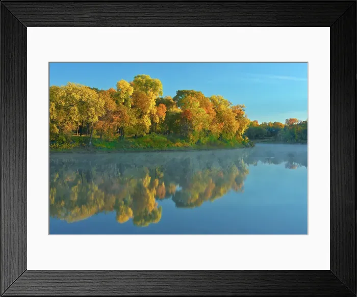 Framed Print : Forest in autumn colors reflected in the Red River at sunrise. St. Vital Park, Winnipeg, Manitoba, Canada Framed Print : Forest in autumn colors reflected in the Red River at sunrise. St. Vital Park, Winnipeg, Manitoba, Canada