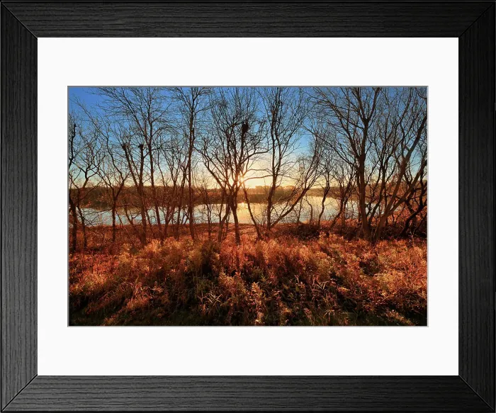 Framed Print : Red River at sunrise, Winnipeg, Manitoba, Canada