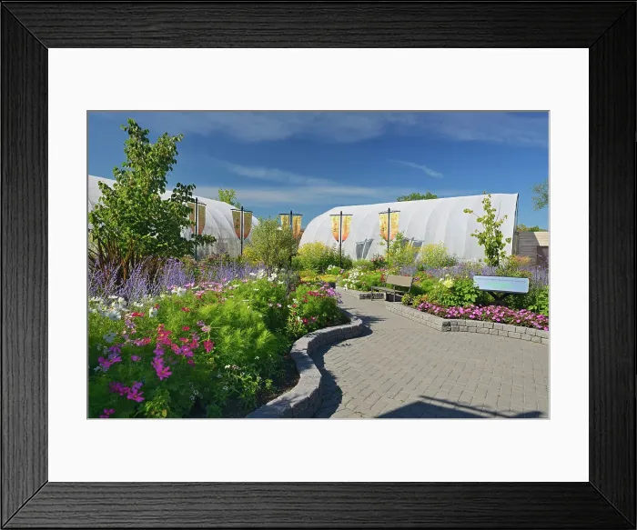 Framed Print : Butterfly Garden. Assiniboine Park, Winnipeg, Manitoba, Canada Framed Print : Butterfly Garden. Assiniboine Park, Winnipeg, Manitoba, Canada