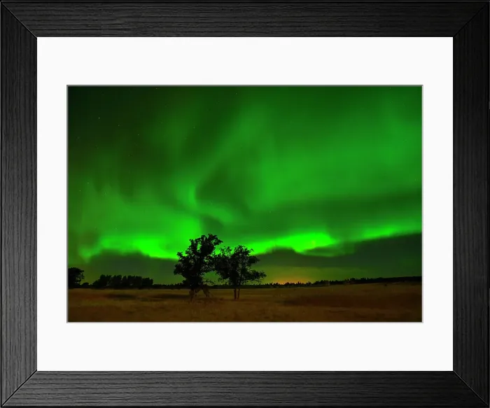 Framed Print : Northern lights dancing over prairie Birds Hill Provincial Park, Manitoba, Canada Framed Print : Northern lights dancing over prairie Birds Hill Provincial Park, Manitoba, Canada