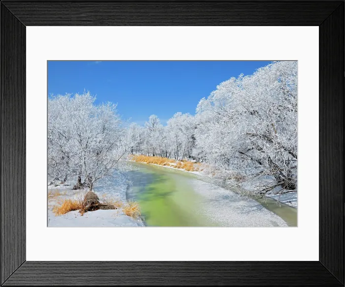 Framed Print : Hoarfrost covered landscape Hazelridge, Manitoba, Canada Framed Print : Hoarfrost covered landscape Hazelridge, Manitoba, Canada