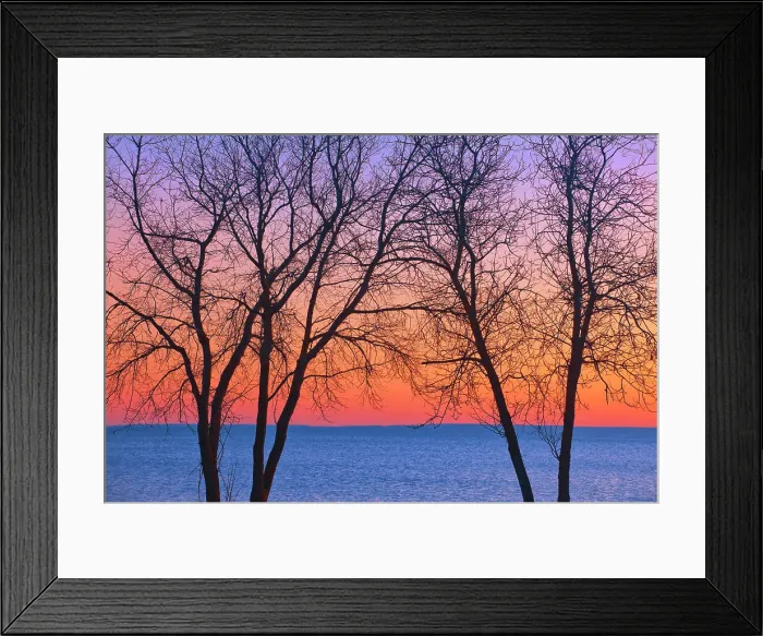 Framed Print : Trees along Lake Winnipeg at sunrise. Matlock, Manitoba, Canada