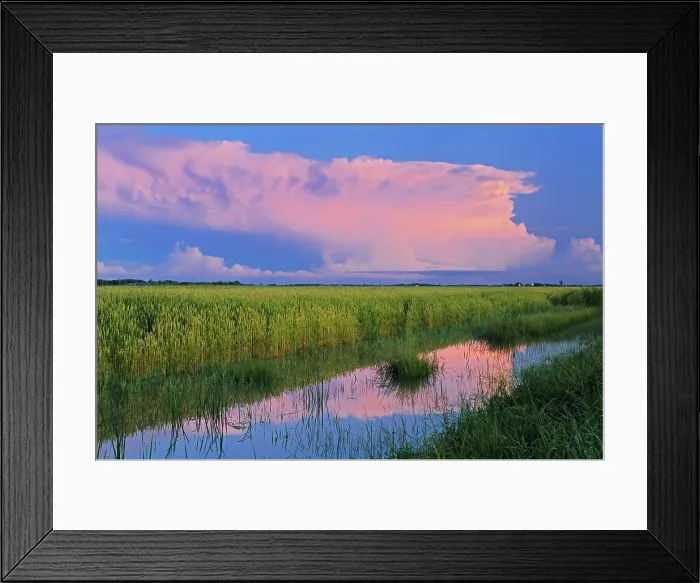 Framed Print : Storm clouds reflected in ditch Dugald, Manitoba, Canada Framed Print : Storm clouds reflected in ditch Dugald, Manitoba, Canada