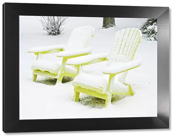Muskoka chairs in winter, Winnipeg, Manitoba, Canada