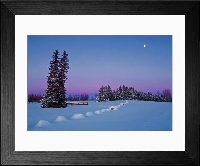 Framed Print : moonrise at dusk in winter Birds Hill Provincial Park, Manitoba, Canada