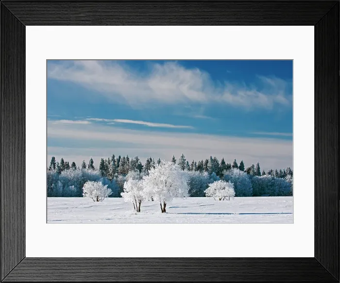 Framed Print : Hoarfrost and clouds Birds Hill Provincial Park, Manitoba, Canada Framed Print : Hoarfrost and clouds Birds Hill Provincial Park, Manitoba, Canada