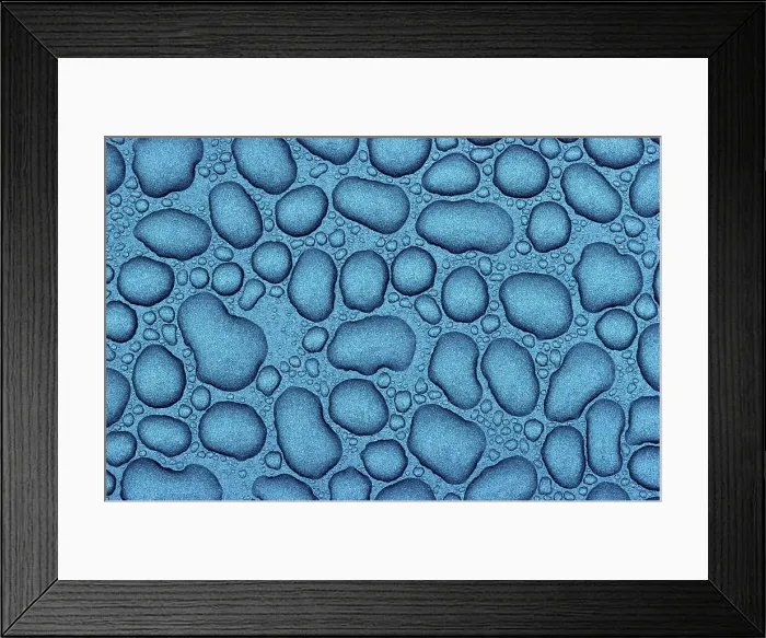 Framed Print : pattern of rain drops on hood of car, Winnipeg, Manitoba, Canada Framed Print : pattern of rain drops on hood of car, Winnipeg, Manitoba, Canada