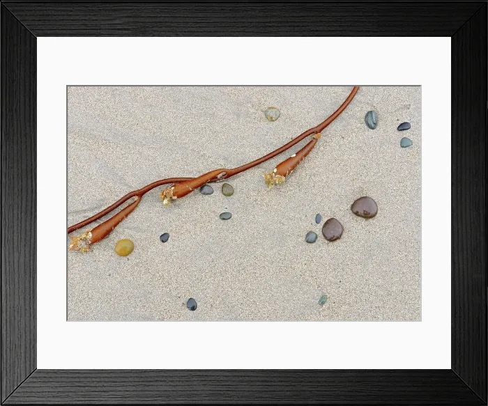 Framed Print : Rocks, sand and seaweed on Agate Beach. Naikoon Provincial Park. Graham Island. Haida Gwaii (formerly the Queen Charlotte Islands), British Columbia, Canada Framed Print : Rocks, sand and seaweed on Agate Beach. Naikoon Provincial Park. Graham Island. Haida Gwaii (formerly the Queen Charlotte Islands), British Columbia, Canada