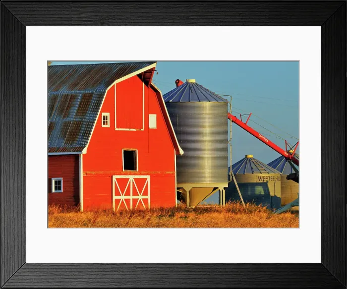 Framed Print : Red barn, grain bins and auger at sunrise near Moose Jaw, Saskatchewan, Canada Framed Print : Red barn, grain bins and auger at sunrise near Moose Jaw, Saskatchewan, Canada