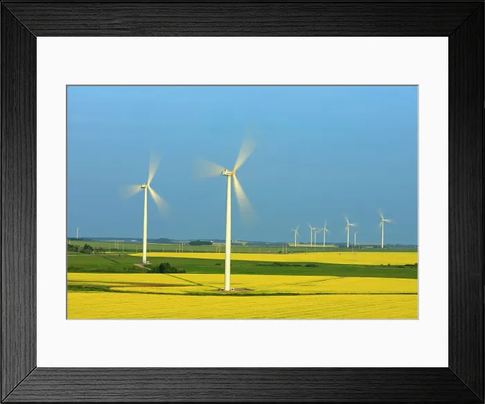Framed Print : Canola and wind turbines, Altamont, Manitoba, Canada Altamont, Manitoba, Canada Framed Print : Canola and wind turbines, Altamont, Manitoba, Canada Altamont, Manitoba, Canada