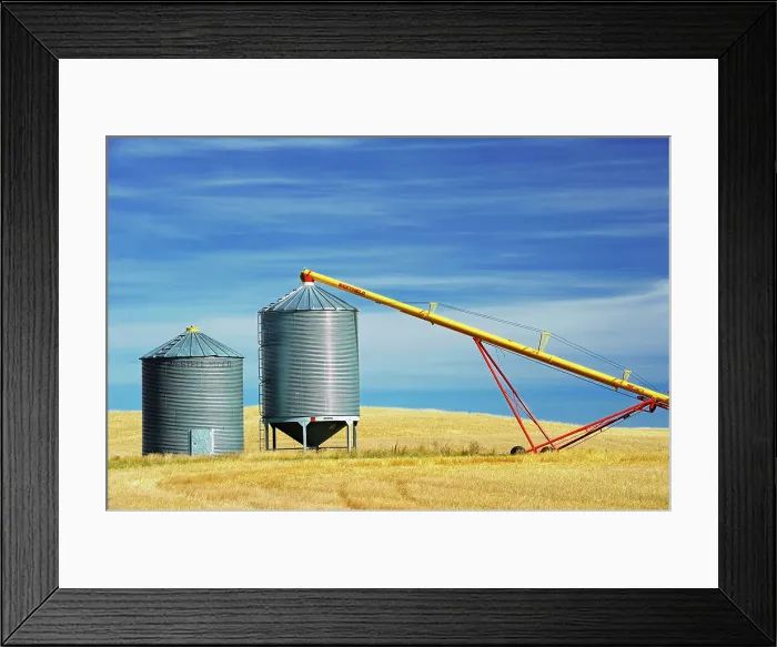 Framed Print : Grain bins and auger near Beechy, Saskatchewan, Canada Framed Print : Grain bins and auger near Beechy, Saskatchewan, Canada