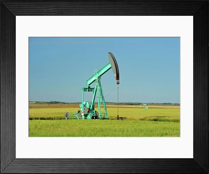 Framed Print : Oats & oil pump jack Carlyle, Saskatchewan, Canada Framed Print : Oats & oil pump jack Carlyle, Saskatchewan, Canada