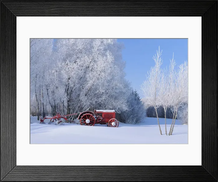 Framed Print : Old tractor and horafrost covered trees Near Winnipeg, Manitoba, Canada