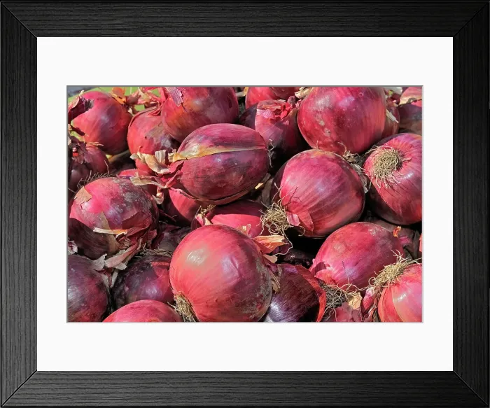 Framed Print : Red onions at farmer's market Winnipeg, Manitoba, Canada Framed Print : Red onions at farmer's market Winnipeg, Manitoba, Canada