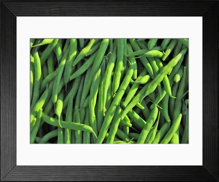 Framed Print : Green beans at farmer's market Winnipeg, Manitoba, Canada Framed Print : Green beans at farmer's market Winnipeg, Manitoba, Canada
