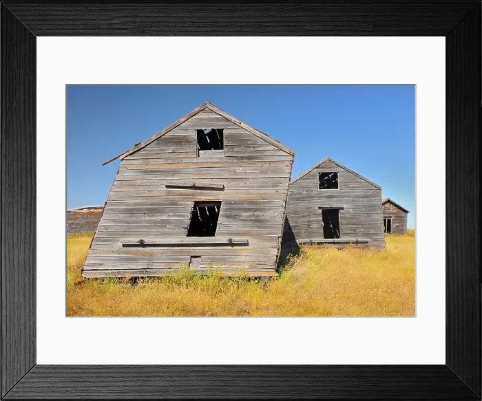 Framed Print : Grain bins Rosetown, Saskatchewan, Canada Framed Print : Grain bins Rosetown, Saskatchewan, Canada