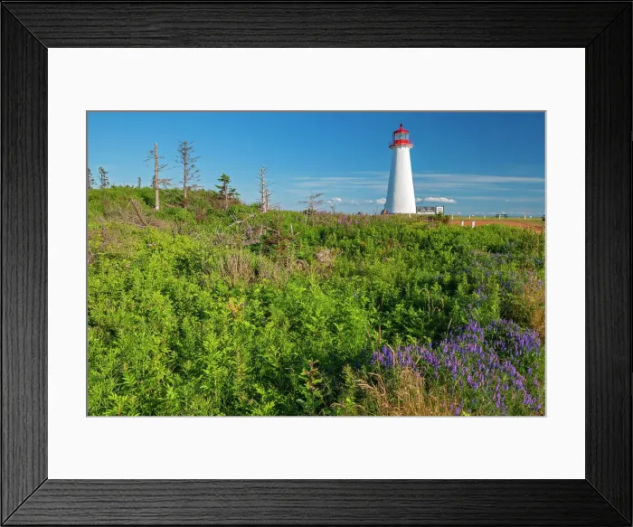 Framed Print : Point Prim Lighthouse and wildflowers Point Prim, Prince Edward Island, Canada Framed Print : Point Prim Lighthouse and wildflowers Point Prim, Prince Edward Island, Canada