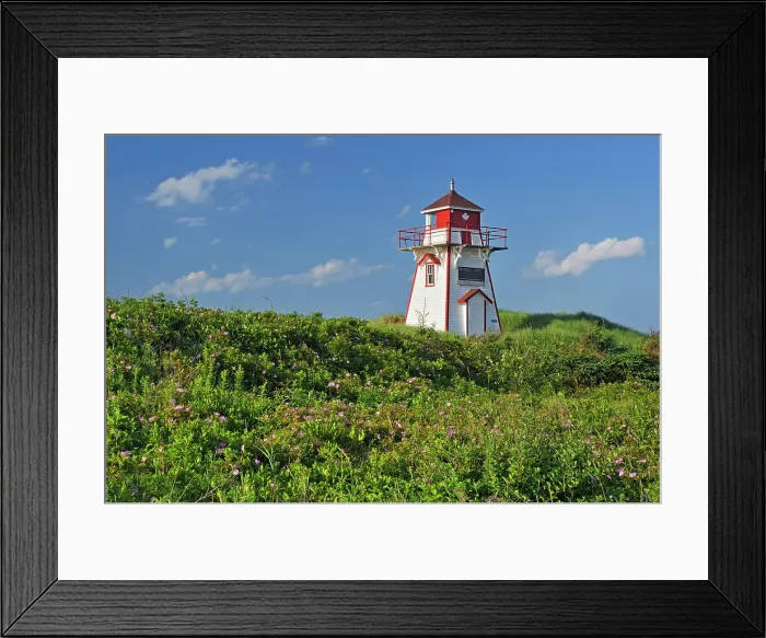 Framed Print : Covehead Harbour Lighthouse and roses (Rosa sp.) on sand dunes Covehead Harbour, Prince Edward Island, Canada Framed Print : Covehead Harbour Lighthouse and roses (Rosa sp.) on sand dunes Covehead Harbour, Prince Edward Island, Canada