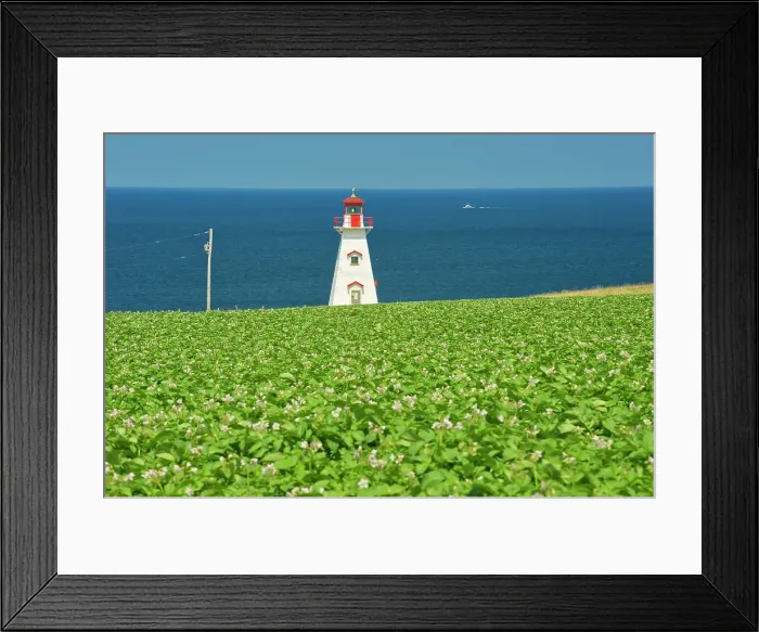 Framed Print : Cape Tryon Lighthouse, potatoes and Gulf of St. Lawrence Cape Tryon, Prince Edward Island, Canada