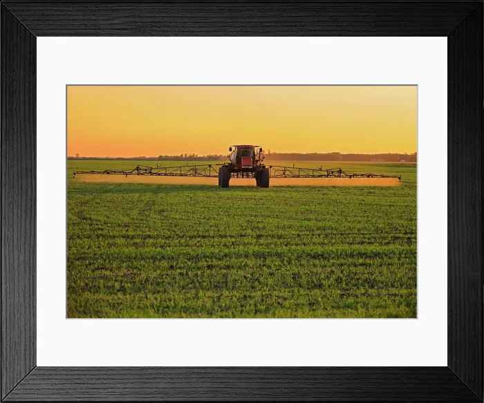 Framed Print : Spraying an early crop growth Dugald, Manitoba, Canada Framed Print : Spraying an early crop growth Dugald, Manitoba, Canada